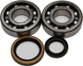 Crankshaft Bearing/Seal Kit ALL BALLS