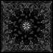 Bandanna Black Paisley ZAN