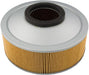 Air Filter HIFLOFILTRO