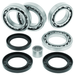 QuadBoss 13-15 Arctic Cat Wildcat 1000 Rear Differential Bearing & Seal Kit QuadBoss