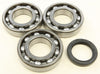 Crankshaft Bearing/Seal Kit ALL BALLS