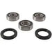 Rear Wheel Bearing Kit PIVOT WORKS