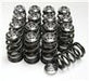 GSC P-D SR20 Single Spring w/ Titanium Retainer Valvetrain Kit