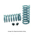 Hotchkis 67-69 Camaro / Firebird Small Block Front Performance Coil Springs