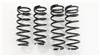 RS-R 01-06 Lexus LS430 (UCF30/31) Super Down Springs