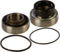 Chain Case Bearing & Seal Kit