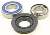 Chain Case Bearing & Seal Kit