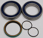 Chain Case Bearing & Seal Kit