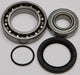 Chain Case Bearing & Seal Kit