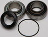 Chain Case Bearing & Seal Kit