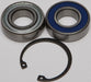 Jack Shaft Bearing & Seal Kit