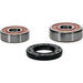 Wheel Bearing Kit Premium