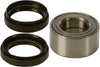 Wheel Bearing & Seal Kit