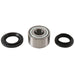 Tapered Dac Wheel Bearing