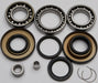 Rear Differential Bearing And Seal Kit