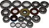 Differential Bearing And Seal Kit