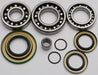 Differential Bearing And Seal Kit