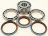 Rear Differential Bearing And Seal Kit