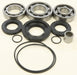 Rear Differential Bearing And Seal Kit