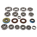 Rear Differential Bearing And Seal Kit