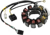 Stator Assembly