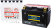 Battery Ctz14s-bs Maintenance Free