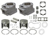 Cylinder Kit Pol