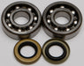 Crankshaft Bearing/Seal Kit ALL BALLS