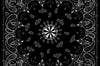 Zan Bandanna Black Paisley - Harddrive Products
