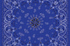 Zan Bandanna Navy Paisley - Harddrive Products