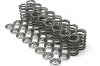 Brian Crower Nissan VQ35DE Single Spring & Titanium Retainer Kit - Engine Components