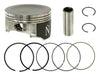 Piston Kit 103.47/+1.50 Hon NAMURA