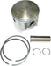 Piston P700/1050 WSM