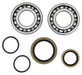 Crankshaft Bearing/Seal Kit ALL BALLS