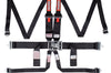 Racequip RaceQuip Black L & 6pt HNR Seat Belt - Safety