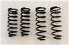 RS-R 01-06 Lexus LS430 (UCF30/31) Down Sus Springs - Suspension