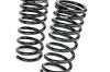 RS-R 09-14 Nissan Maxima Down Sus Springs - Suspension