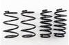RS-R 10 + Lexus CT200h (ZWA10) Down Sus Springs - Suspension