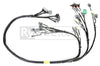 Rywire Honda B-Series OBD1 Tuck Budget Eng Harness w/OBD1 Dist/Inj/Alt/92-95 ECU Plugs (Adapter Req) - Engine Components