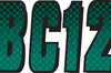 Hardline Series 300 Registration Kit (yellow/black) - Forest Green/Black - Watercraft Collection