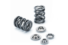 Supertech 05-15 Ford Focus 2.0L Dual Valve Spring Kit - Engine Components
