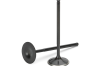 Supertech Audi/VW 1.8T 5V Black Nitride Exhaust Valve - Set of 8 - Engine Components