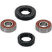 Wheel Bearing Kit Premium PIVOT WORKS