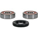 Wheel Bearing Kit Premium PIVOT WORKS