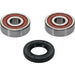 Wheel Bearing Kit Premium PIVOT WORKS